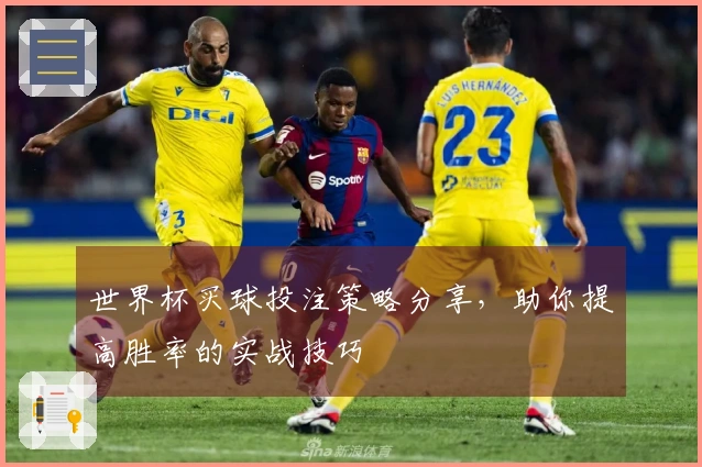 世界杯买球投注策略分享，助你提高胜率的实战技巧