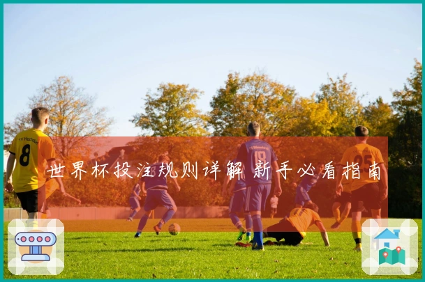 世界杯投注规则详解 新手必看指南