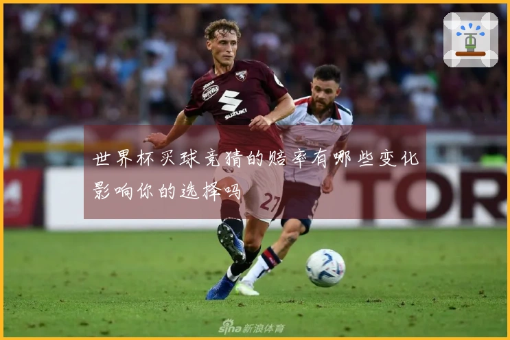 世界杯买球竞猜的赔率有哪些变化影响你的选择吗