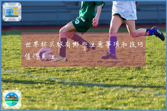 世界杯买球有哪些注意事项和技巧值得关注
