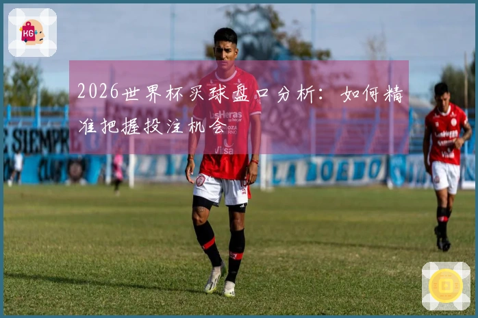 2026世界杯买球盘口分析：如何精准把握投注机会