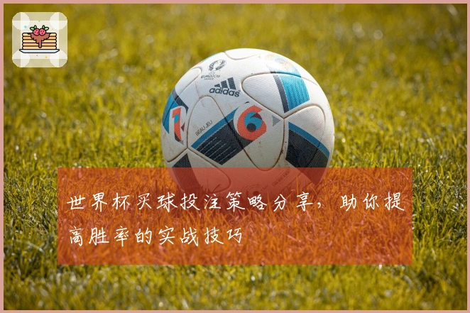 世界杯买球投注策略分享，助你提高胜率的实战技巧