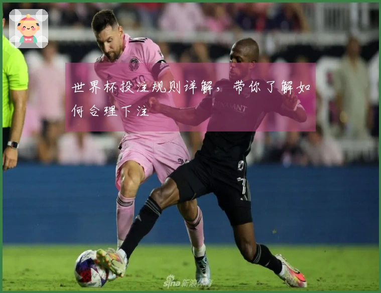 世界杯投注规则详解，带你了解如何合理下注