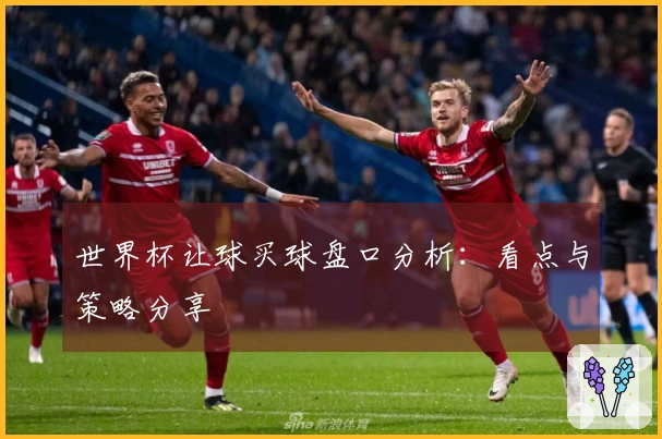 世界杯让球买球盘口分析：看点与策略分享