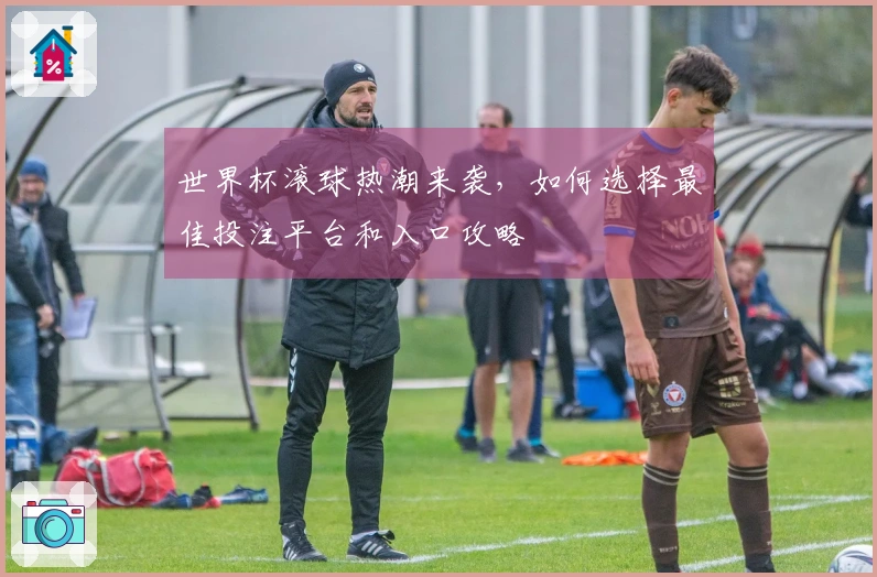 世界杯滚球热潮来袭，如何选择最佳投注平台和入口攻略