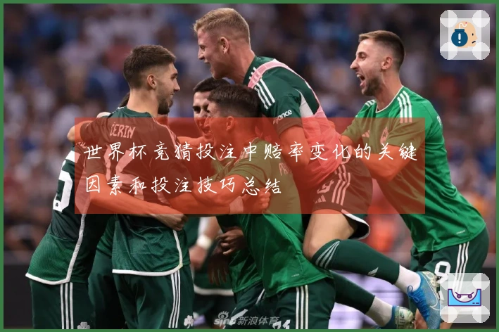 世界杯竞猜投注中赔率变化的关键因素和投注技巧总结
