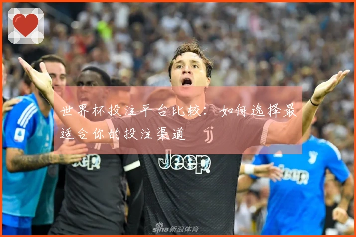 世界杯投注平台比较：如何选择最适合你的投注渠道