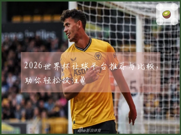2026世界杯让球平台推荐与比较，助你轻松投注》