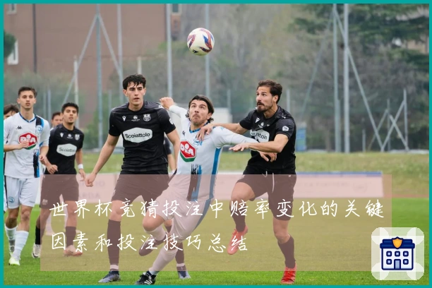 世界杯竞猜投注中赔率变化的关键因素和投注技巧总结