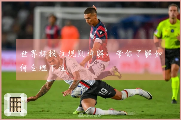 世界杯投注规则详解，带你了解如何合理下注